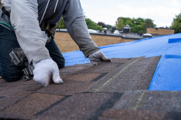 Quick and Trustworthy Emergency Roof Repair Services in Ware Shoals, SC