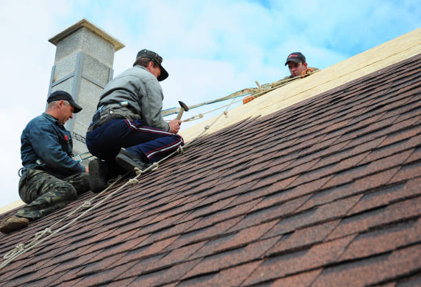 Best Gutter Installation and Roofing  in Ware Shoals, SC